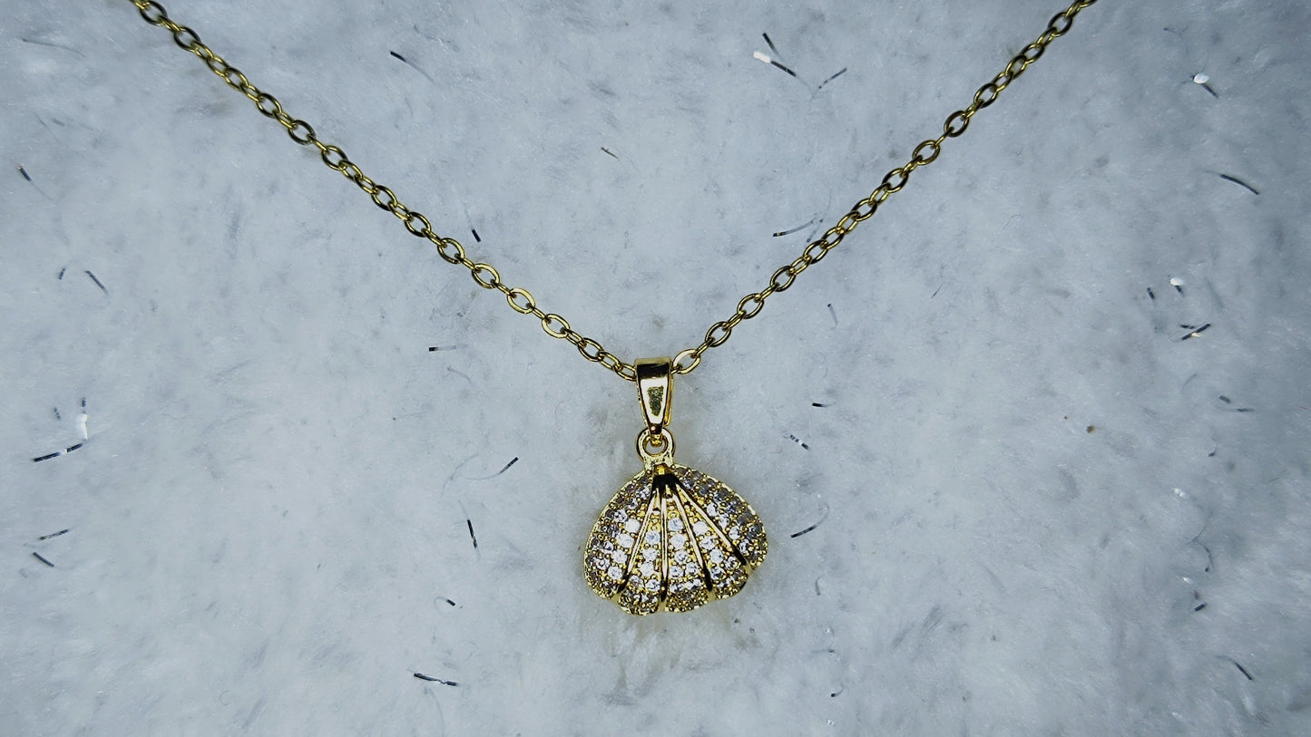 Pearl Set Shell Pendant Locket Necklace